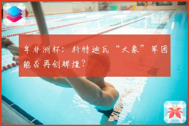 年非洲杯：科特迪瓦“大象”军团能否再创辉煌？