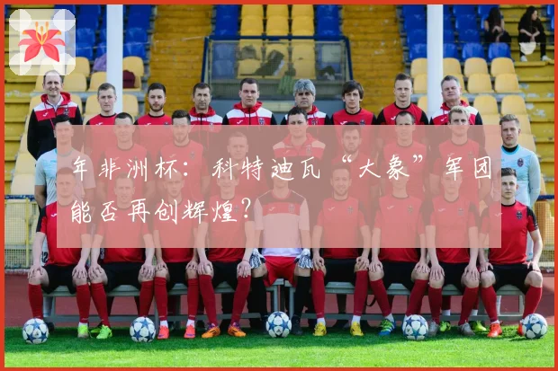 年非洲杯：科特迪瓦“大象”军团能否再创辉煌？