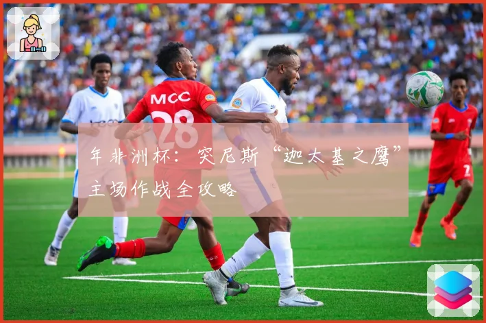 年非洲杯：突尼斯“迦太基之鹰”主场作战全攻略