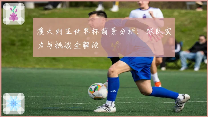 澳大利亚世界杯前景分析:球队实力与挑战全解读