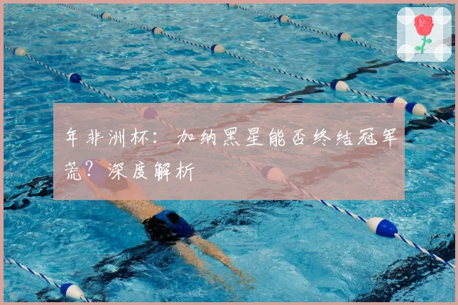 年非洲杯:加纳黑星能否终结冠军荒?深度解析