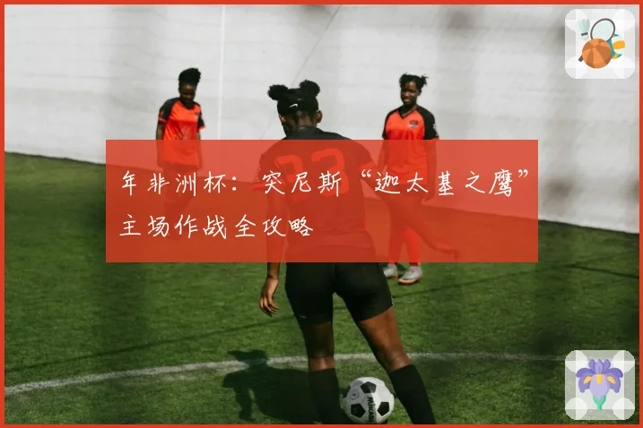 年非洲杯：突尼斯“迦太基之鹰”主场作战全攻略